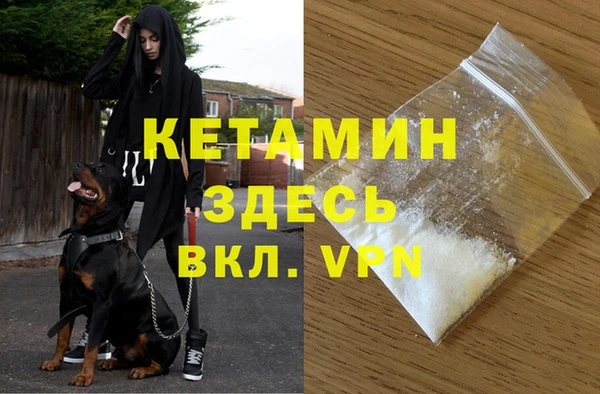 крисы Баксан