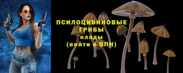 мяу мяу мука Арсеньев