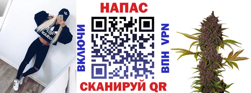 Бошки Шишки MAZAR  Купить закладки  Суоярви 